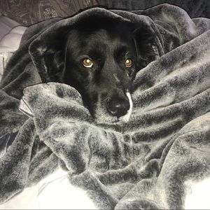 Meet your Posher, Jordyn